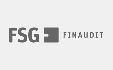 FSG Finaudit